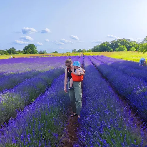 Lifty - Narancssárga prémium csípőhordozó totyogók számára